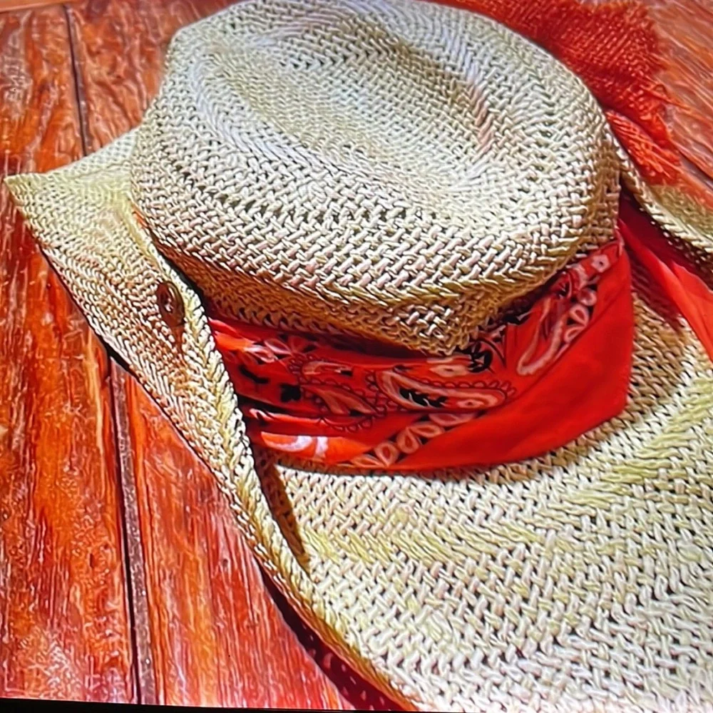 Straw Vintage Cowboy Hat embellished